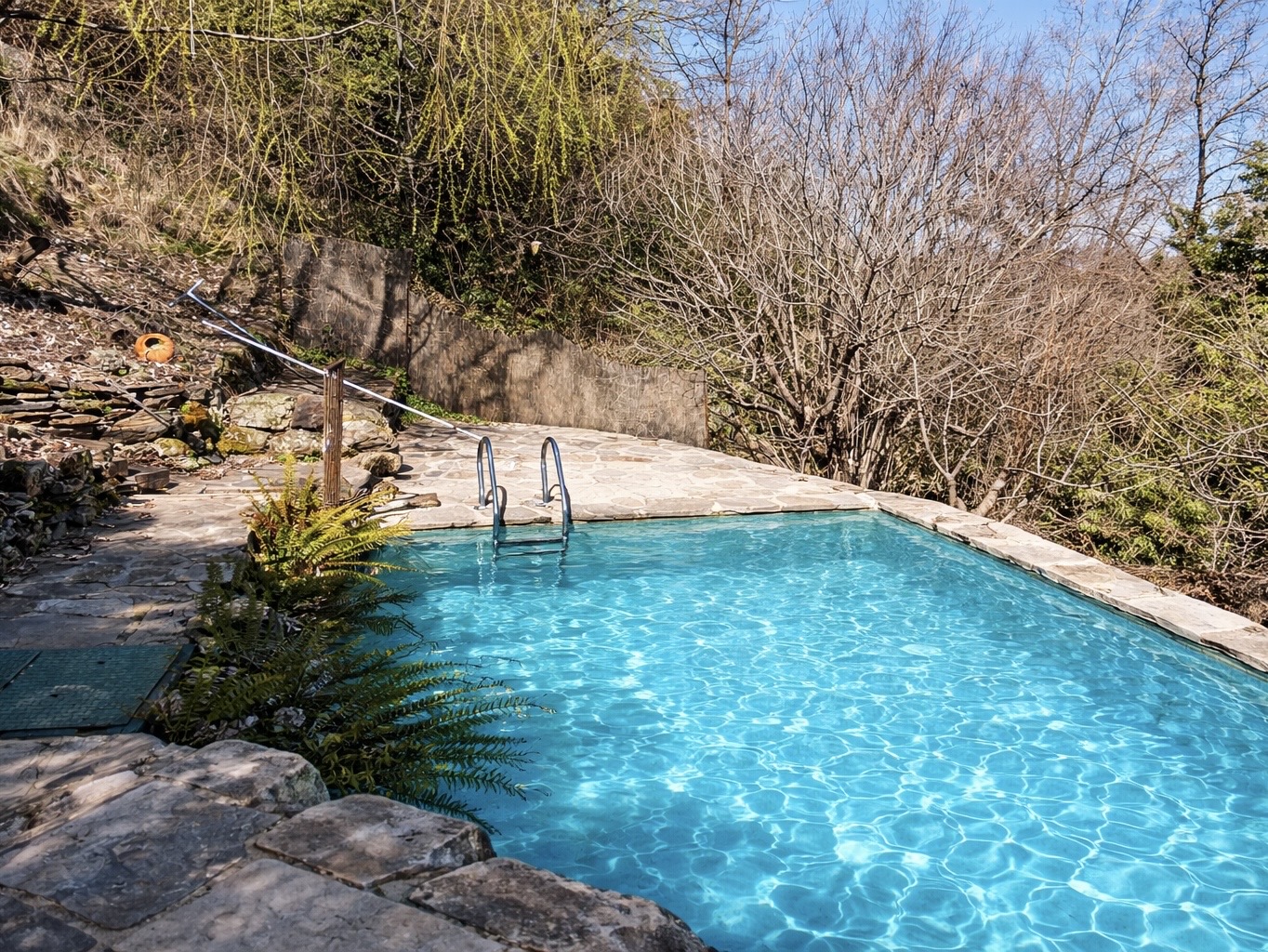 E88E2F42-09BA-49EE-8781-4A76DB1524B4